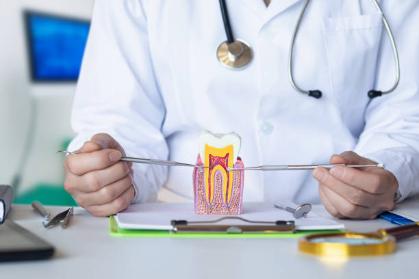Best Emergency Denture Repair in Vashon, WA